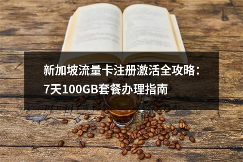 新加坡流量卡注册激活全攻略：7天100GB套餐办理指南
