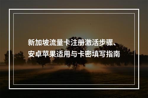 新加坡流量卡注册激活步骤、安卓苹果适用与卡密填写指南