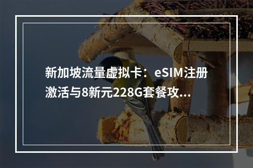 新加坡流量虚拟卡：eSIM注册激活与8新元228G套餐攻略