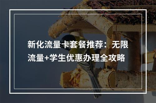 新化流量卡套餐推荐：无限流量+学生优惠办理全攻略