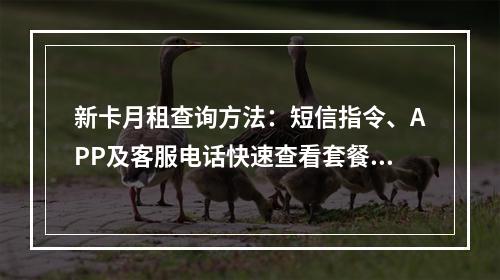 新卡月租查询方法：短信指令、APP及客服电话快速查看套餐资费