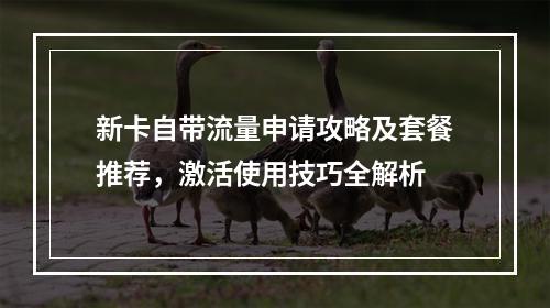 新卡自带流量申请攻略及套餐推荐，激活使用技巧全解析