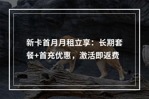 新卡首月月租立享：长期套餐+首充优惠，激活即返费