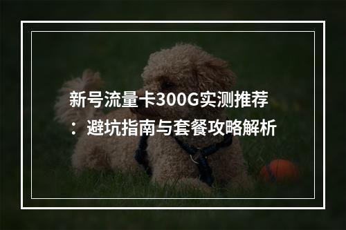 新号流量卡300G实测推荐：避坑指南与套餐攻略解析