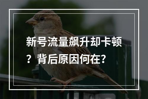 新号流量飙升却卡顿？背后原因何在？