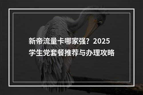 新帝流量卡哪家强？2025学生党套餐推荐与办理攻略