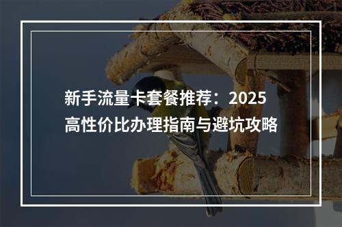 新手流量卡套餐推荐：2025高性价比办理指南与避坑攻略