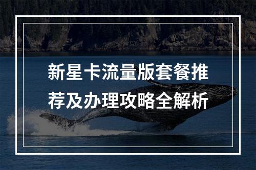 新星卡流量版套餐推荐及办理攻略全解析