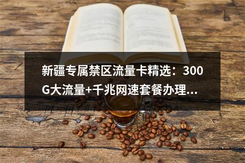 新疆专属禁区流量卡精选：300G大流量+千兆网速套餐办理指南