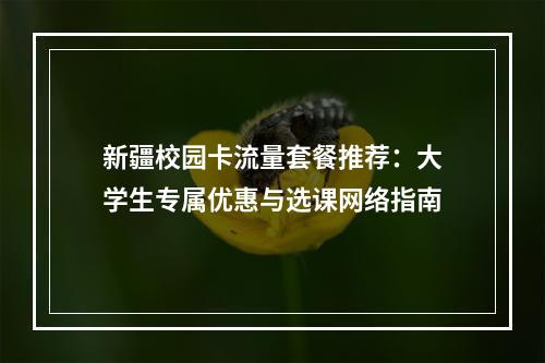 新疆校园卡流量套餐推荐：大学生专属优惠与选课网络指南