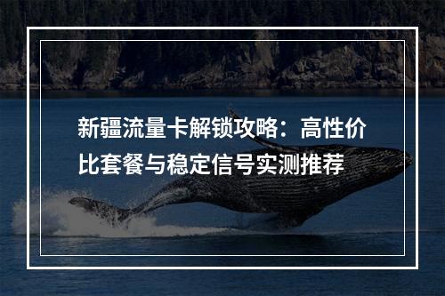 新疆流量卡解锁攻略：高性价比套餐与稳定信号实测推荐