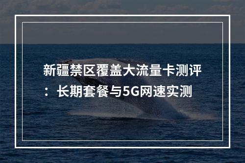 新疆禁区覆盖大流量卡测评：长期套餐与5G网速实测