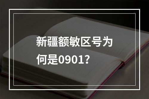 新疆额敏区号为何是0901？