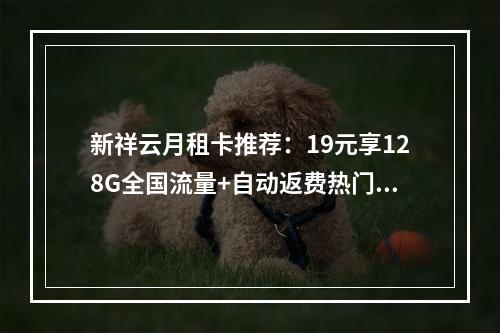 新祥云月租卡推荐：19元享128G全国流量+自动返费热门套餐