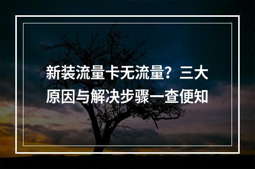 新装流量卡无流量？三大原因与解决步骤一查便知