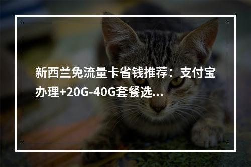 新西兰免流量卡省钱推荐：支付宝办理+20G-40G套餐选择