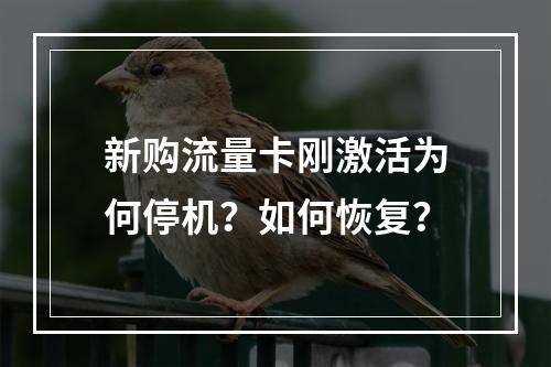 新购流量卡刚激活为何停机？如何恢复？