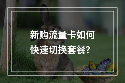 新购流量卡如何快速切换套餐？