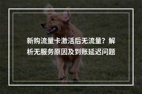 新购流量卡激活后无流量？解析无服务原因及到账延迟问题
