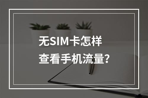 无SIM卡怎样查看手机流量？