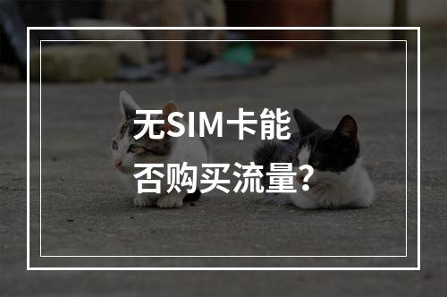 无SIM卡能否购买流量？