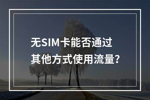 无SIM卡能否通过其他方式使用流量？
