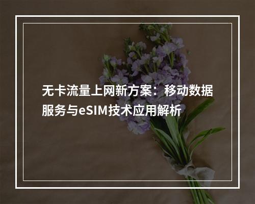 无卡流量上网新方案：移动数据服务与eSIM技术应用解析