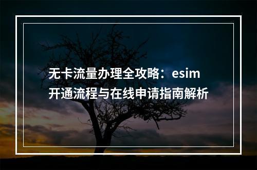 无卡流量办理全攻略：esim开通流程与在线申请指南解析