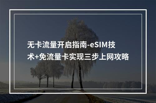 无卡流量开启指南-eSIM技术+免流量卡实现三步上网攻略