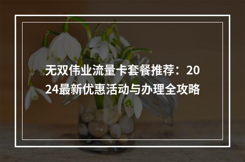 无双伟业流量卡套餐推荐：2024最新优惠活动与办理全攻略