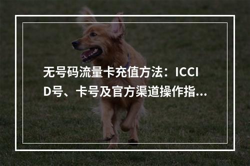 无号码流量卡充值方法：ICCID号、卡号及官方渠道操作指南