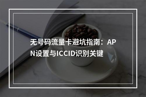 无号码流量卡避坑指南：APN设置与ICCID识别关键