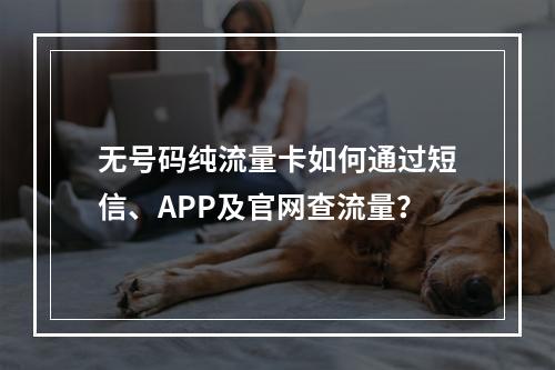 无号码纯流量卡如何通过短信、APP及官网查流量？