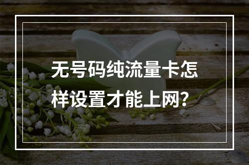 无号码纯流量卡怎样设置才能上网？