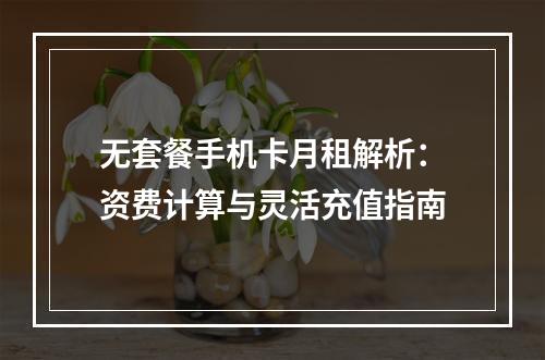 无套餐手机卡月租解析：资费计算与灵活充值指南