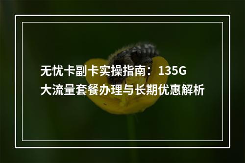 无忧卡副卡实操指南：135G大流量套餐办理与长期优惠解析