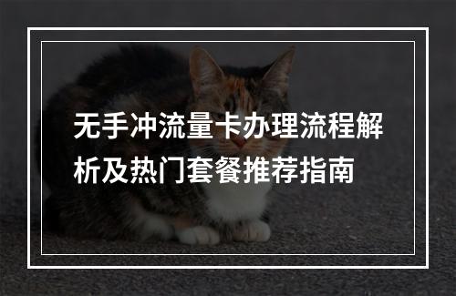 无手冲流量卡办理流程解析及热门套餐推荐指南
