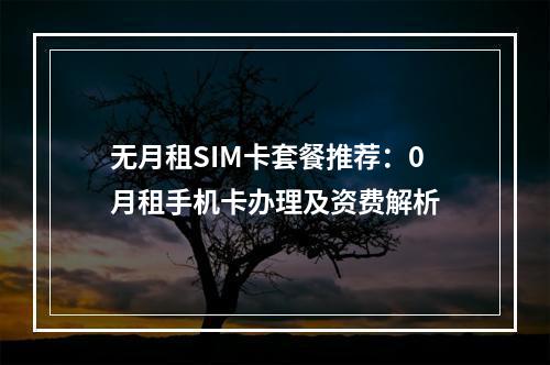 无月租SIM卡套餐推荐：0月租手机卡办理及资费解析