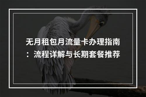 无月租包月流量卡办理指南：流程详解与长期套餐推荐