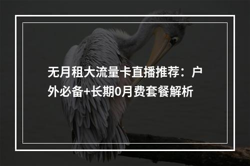无月租大流量卡直播推荐：户外必备+长期0月费套餐解析