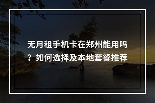 无月租手机卡在郑州能用吗？如何选择及本地套餐推荐