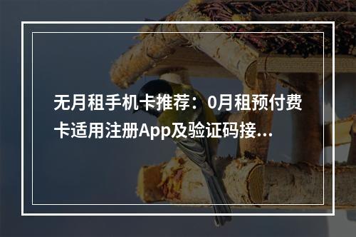 无月租手机卡推荐：0月租预付费卡适用注册App及验证码接收
