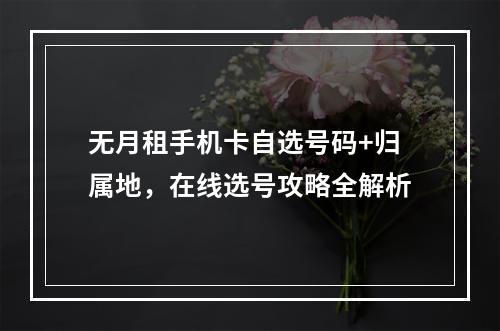 无月租手机卡自选号码+归属地，在线选号攻略全解析