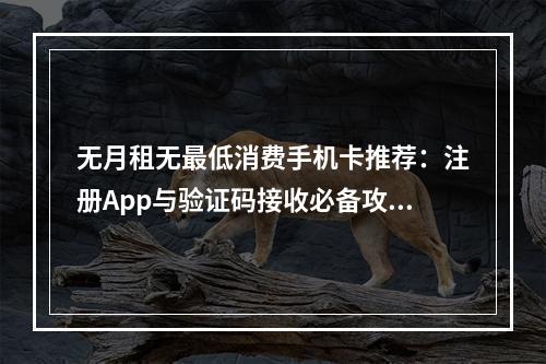 无月租无最低消费手机卡推荐：注册App与验证码接收必备攻略