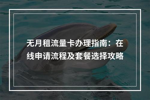 无月租流量卡办理指南：在线申请流程及套餐选择攻略
