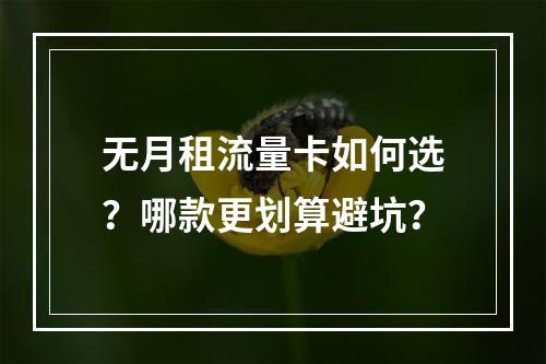 无月租流量卡如何选？哪款更划算避坑？