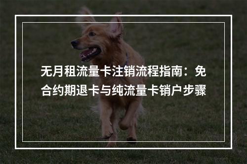 无月租流量卡注销流程指南：免合约期退卡与纯流量卡销户步骤
