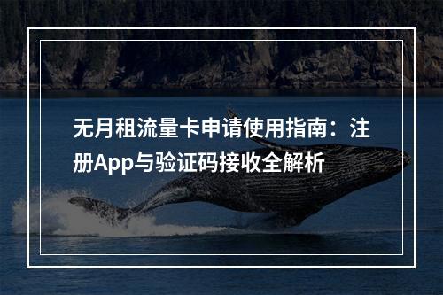 无月租流量卡申请使用指南：注册App与验证码接收全解析