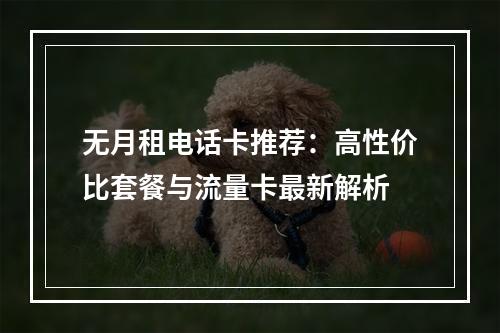 无月租电话卡推荐：高性价比套餐与流量卡最新解析