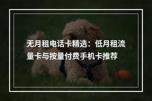 无月租电话卡精选：低月租流量卡与按量付费手机卡推荐